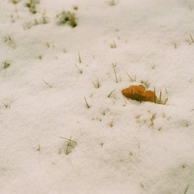 雪