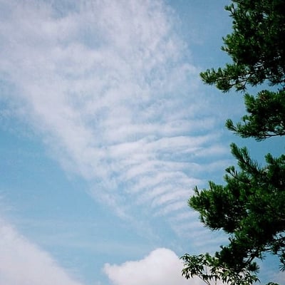 雲