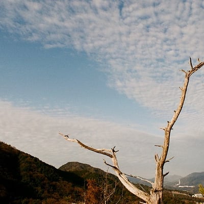雲