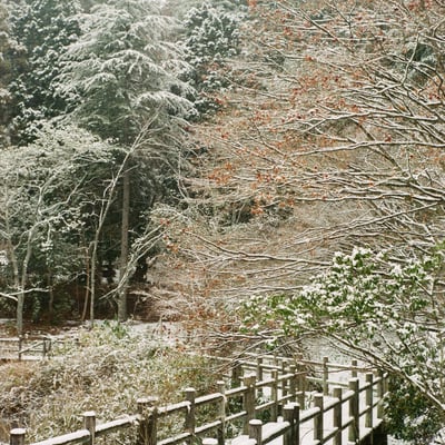 雪