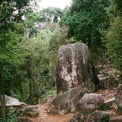 登山道