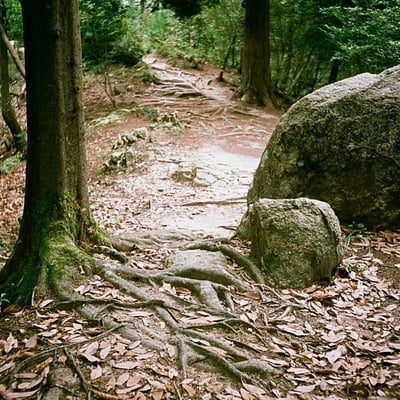 登山道