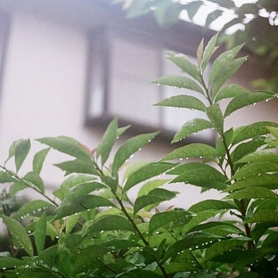 水滴