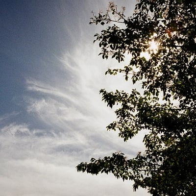 雲