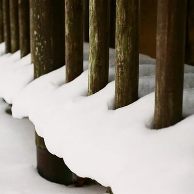 雪