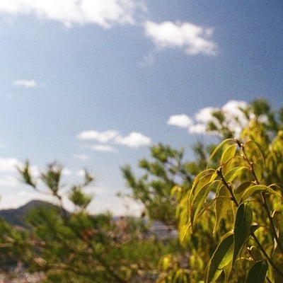 いい天気。