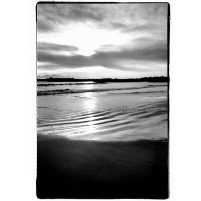 40493
