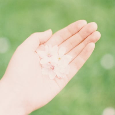 スズメが蜜を吸った後のやつ