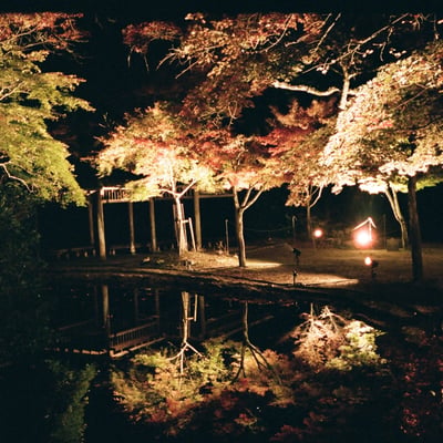 水面の紅葉