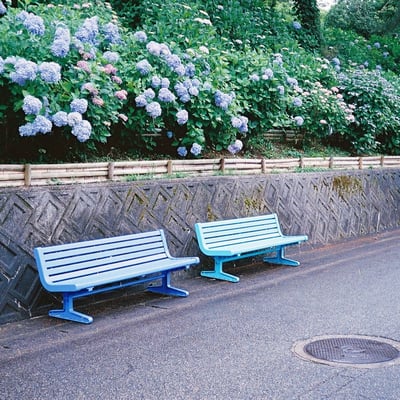 写真スポット