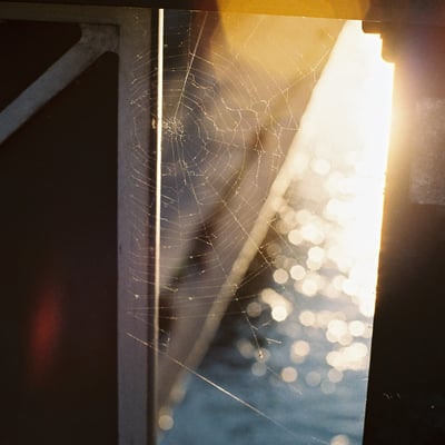 試し撮り（はじめてのOlympus OM-1）