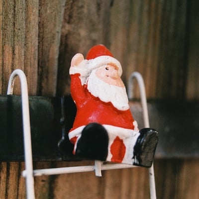 植木鉢からメリークリスマス