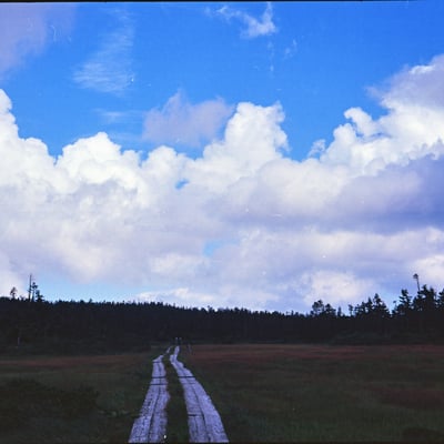 雲の世界
