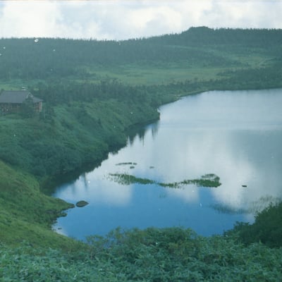 八幡沼