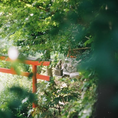 秘密の場所