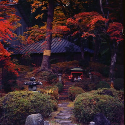 紅葉