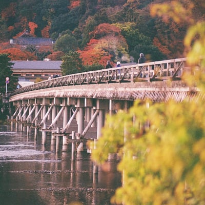 嵐山の紅葉