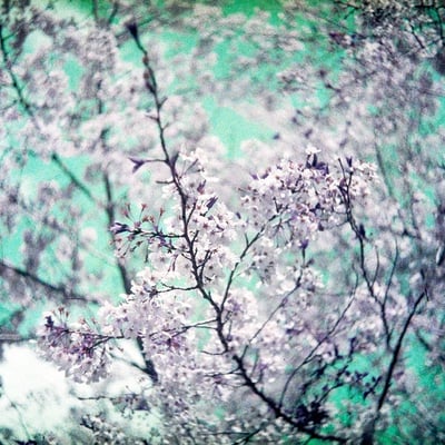 まわって　まわって　まわる