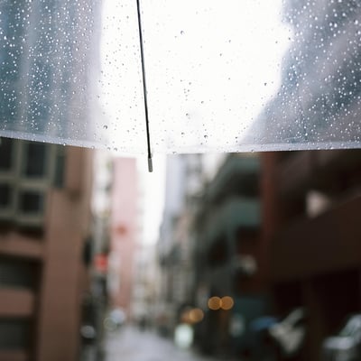 雨の日。