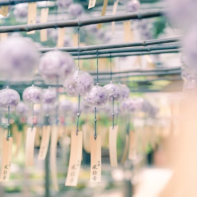 紫陽花と風鈴