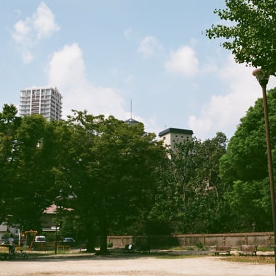 夏の公園