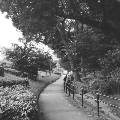 図書館の歩道
