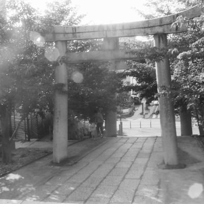 飛幡神社の参道で