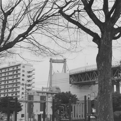 公園から若戸大橋