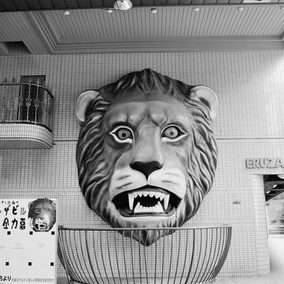 看板ライオン