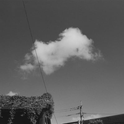 夏の雲