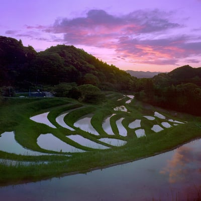 大山千枚田