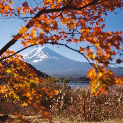 富士山と紅葉の額縁 – 河口湖にて