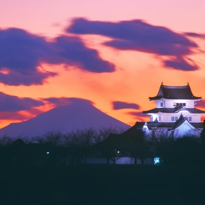逆光に浮かぶ関宿城と富士山 - II