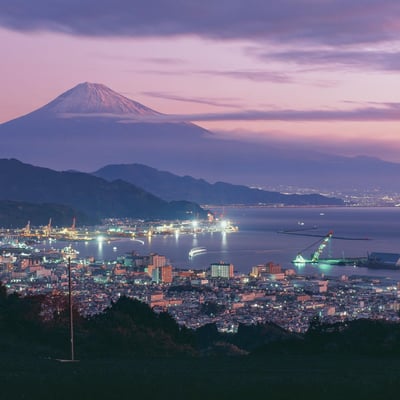 日本平から望む富士山