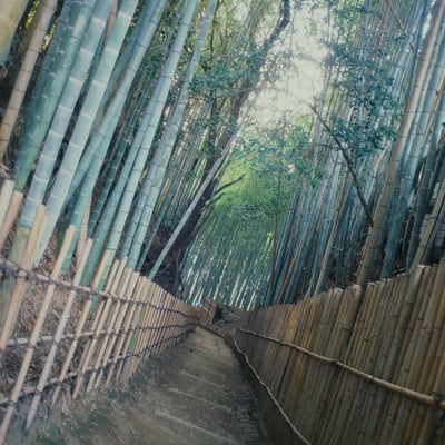 ひよどり坂