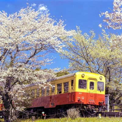いすみ鉄道