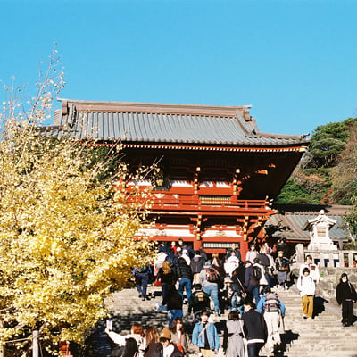 冬、鎌倉