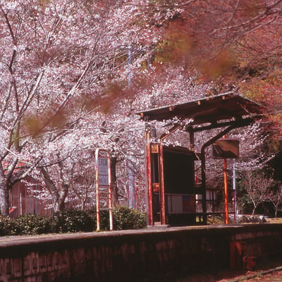 春の到着した駅。