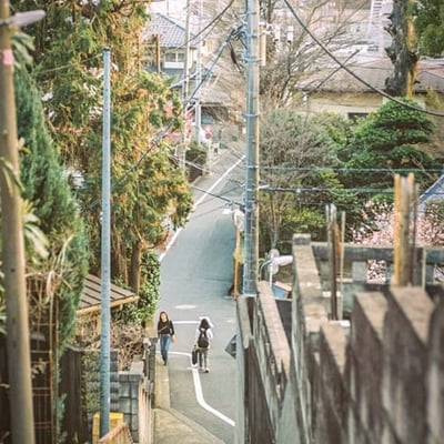 さんぽ道