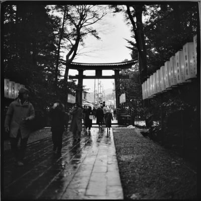 雨の石畳