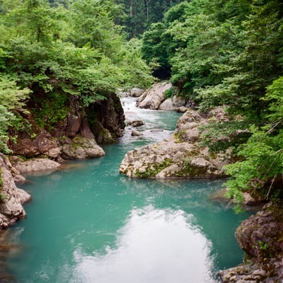 渓の碧、山の蒼
