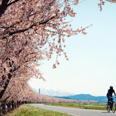 サイクリング日和