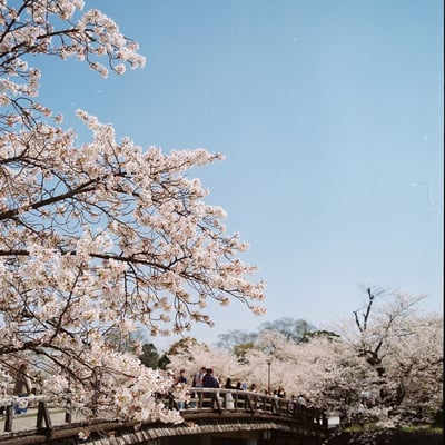 嵐山