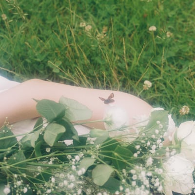 🦋