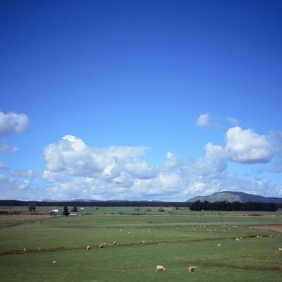NZ-Northen explorer