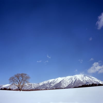 孤高