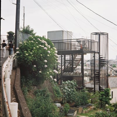 長尾山25年6月