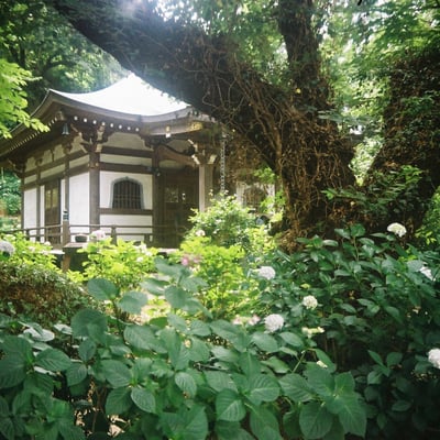 長尾山妙楽寺25年6月