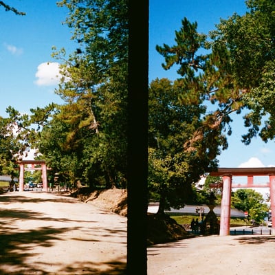 春日大社参道