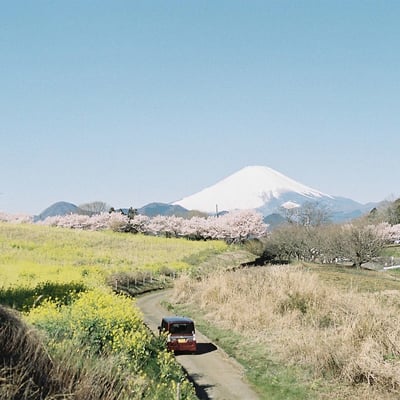 春を探しに